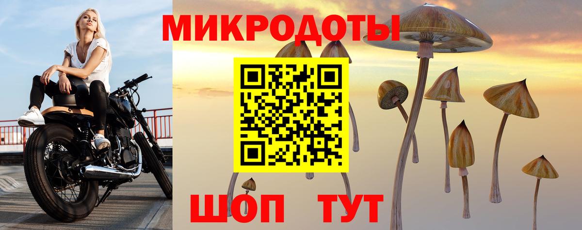 Долгопрудный  Галлюциногенные грибы Cubensis  Вход с VPN 